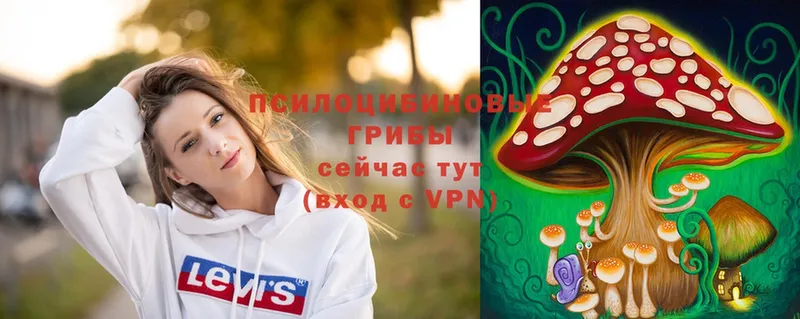 гидра вход  shop формула  Псилоцибиновые грибы Magic Shrooms  Братск 